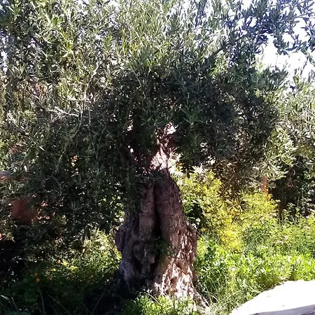 Villa Casa Kenaz